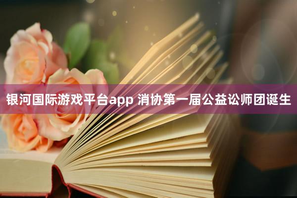 银河国际游戏平台app 消协第一届公益讼师团诞生