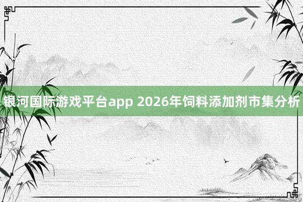 银河国际游戏平台app 2026年饲料添加剂市集分析