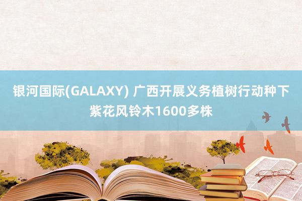银河国际(GALAXY) 广西开展义务植树行动种下紫花风铃木1600多株