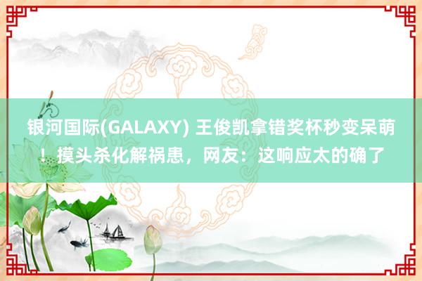 银河国际(GALAXY) 王俊凯拿错奖杯秒变呆萌！摸头杀化解祸患，网友：这响应太的确了