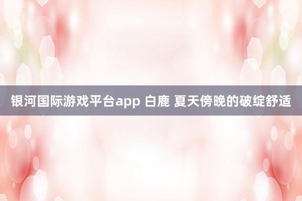 银河国际游戏平台app 白鹿 夏天傍晚的破绽舒适