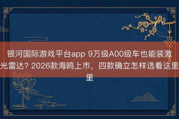 银河国际游戏平台app 9万级A00级车也能装激光雷达? 2026款海鸥上市，四款确立怎样选看这里