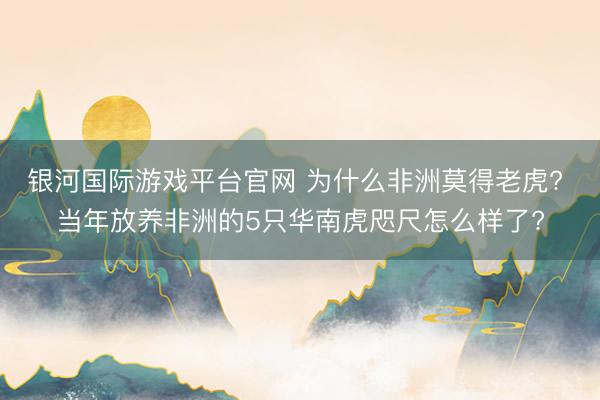 银河国际游戏平台官网 为什么非洲莫得老虎? 当年放养非洲的5只华南虎咫尺怎么样了?