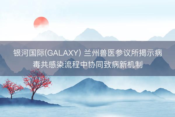 银河国际(GALAXY) 兰州兽医参议所揭示病毒共感染流程中协同致病新机制