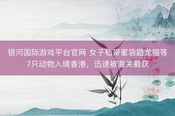 银河国际游戏平台官网 女子私带蜜袋鼯龙猫等7只动物入境香港，迅速被海关截获