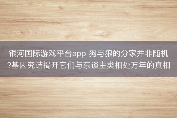 银河国际游戏平台app 狗与狼的分家并非随机?基因究诘揭开它们与东谈主类相处万年的真相
