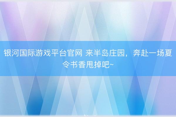 银河国际游戏平台官网 来半岛庄园，奔赴一场夏令书香甩掉吧~