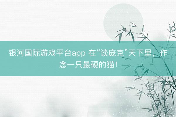 银河国际游戏平台app 在“谈庞克”天下里，作念一只最硬的猫！