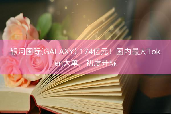 银河国际(GALAXY) 174亿元！国内最大Token大单，初度开标