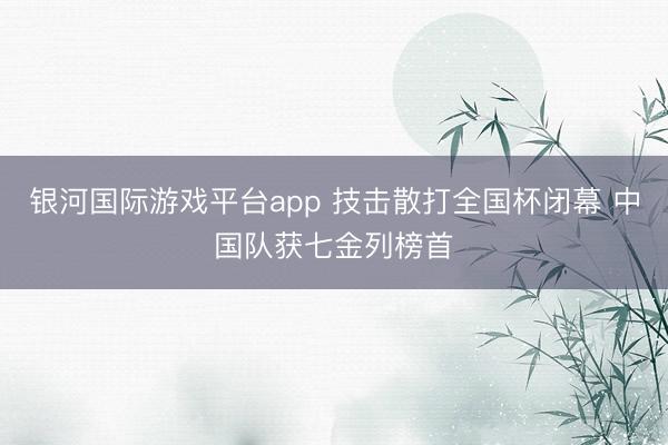 银河国际游戏平台app 技击散打全国杯闭幕 中国队获七金列榜首