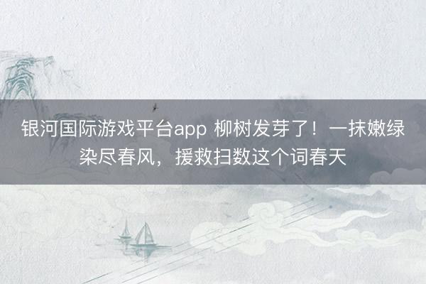 银河国际游戏平台app 柳树发芽了！一抹嫩绿染尽春风，援救扫数这个词春天