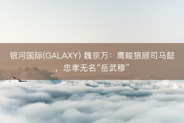 银河国际(GALAXY) 魏宗万：鹰睃狼顾司马懿，忠孝无名“岳武穆”