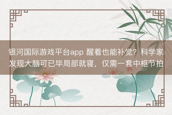 银河国际游戏平台app 醒着也能补觉？科学家发现大脑可已毕局部就寝，仅需一套中枢节拍
