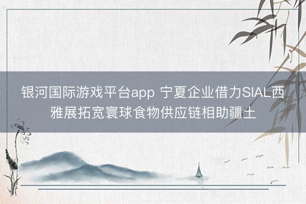 银河国际游戏平台app 宁夏企业借力SIAL西雅展拓宽寰球食物供应链相助疆土