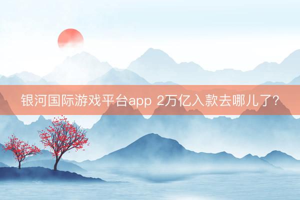 银河国际游戏平台app 2万亿入款去哪儿了？