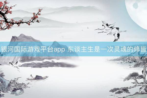银河国际游戏平台app 东谈主生是一次灵魂的修皆
